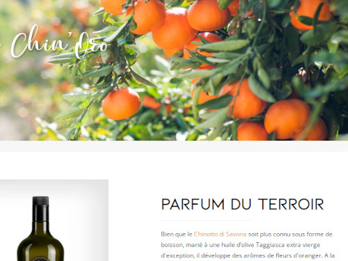 Personal Portfolio Images